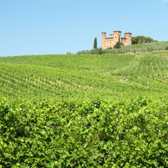 Fototapeta na wymiar Castle Quattro Torri ( four towers) and vineyards in Tuscany