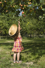 Jeune fille trop petite pour attraper une pomme