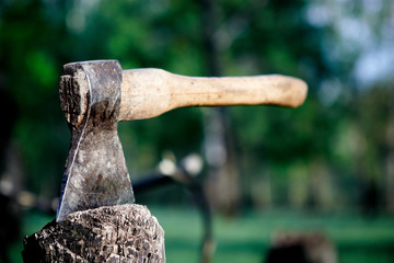 axe in the stump
