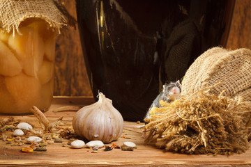 Small mouse in basement with garlik and burlak