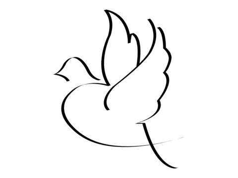 Bird symbol isolated