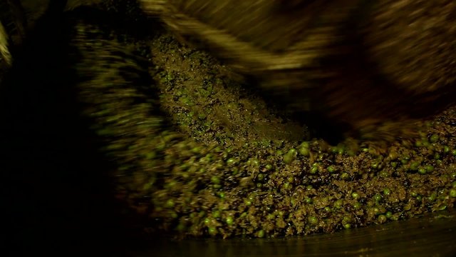 Crashing olives to get extra virgin olive oil