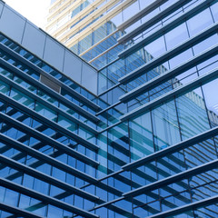 modern glass silhouettes of skyscrapers