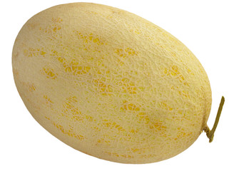 yellow ripe melon. isolated on white.