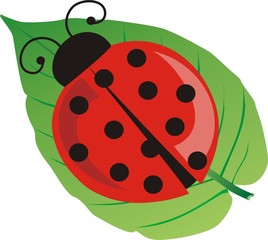 Ladybird