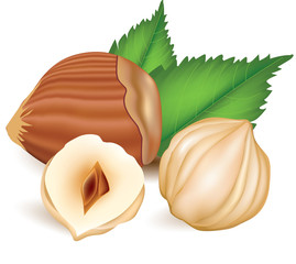 Hazelnuts with laeves.