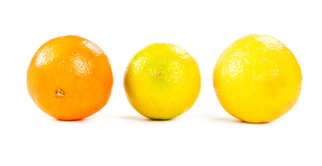 Tangerine, lemon, lime  isolated on white background