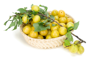 Real yellow plums in basket