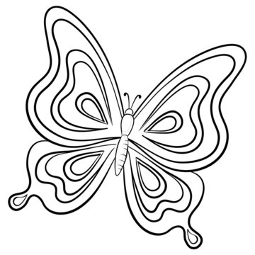Butterfly, contour