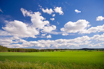 Green field and blue sky in countryside, Finland - 34868634