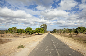 Fototapeta na wymiar Afrykański krajobraz