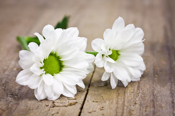 weisse Blüten