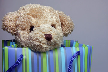 Teddy in Tüte 01