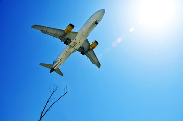 airplane