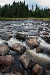 Forest river