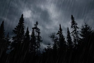Fotobehang Onweer Regenbui in bos