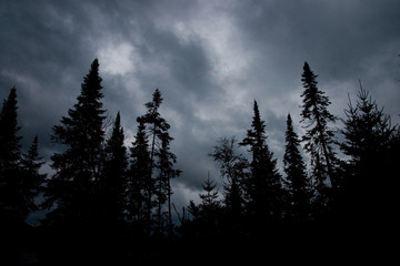 Storm clouds over forest