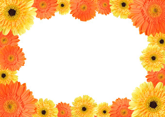 Yellow and orange daisy frame