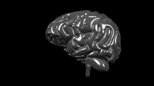 Looping brain animation with alpha matte