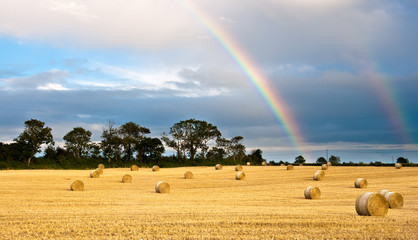 Harvested field after the rain © mcsdwarken