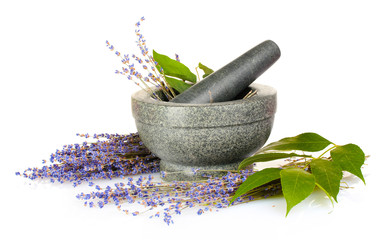 Beautiful lavender in a mortar isolated on white