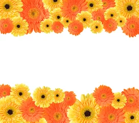 Foto auf Acrylglas Gerbera Yellow and orange daisy frame