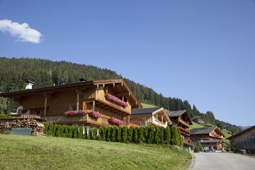 Fototapeta na wymiar Bauernhäuser in den Alpen