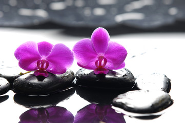 Fototapeta na wymiar Dwa orchidea i czarny kamień z refleksji