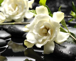 Gordijnen Branch white gardenia flowers on pebble © Mee Ting