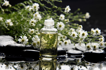 Obraz na płótnie Canvas white flower with bottle of essential oil and black stones
