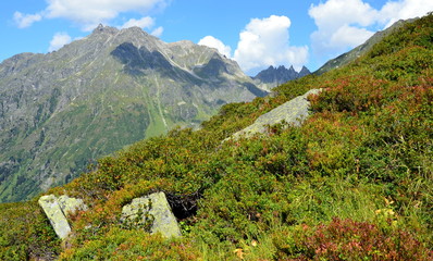 circuit de randonnée...Sardasca -Silvretta