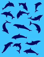 Rideaux occultants Dauphins silhouette de dauphin avec fond bleu - vector