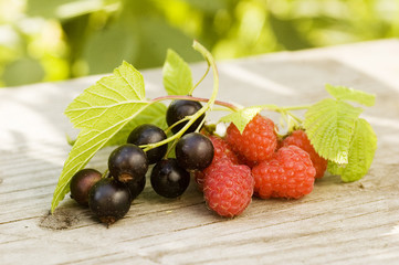 ripe raspberry and black current