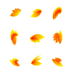 Vector orange leaves