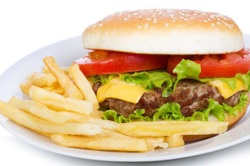hamburger with fries