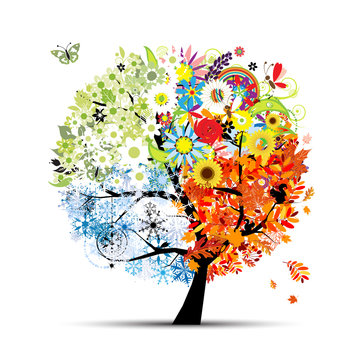 colorful seasons tree on white background clip art preview