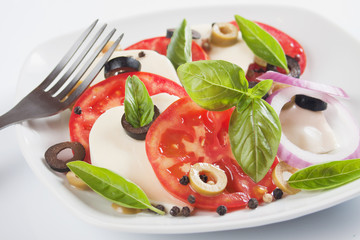 Caprese salad with mozzarella, tomato and basil