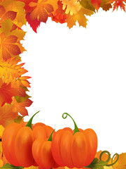 pumpkins with fall leaves background
