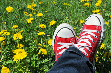 relaxing on the meadow