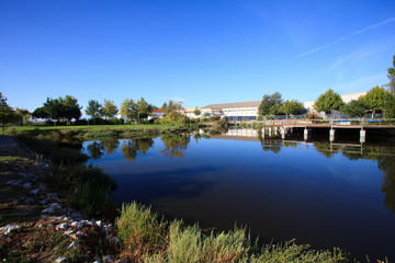 Obraz premium The garden and the lake.
