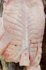 Fresh monkfish at market