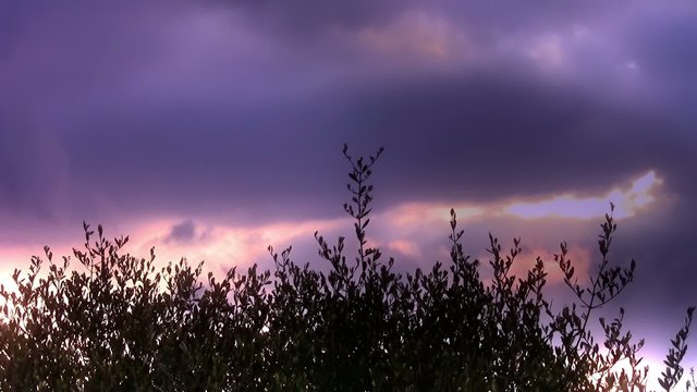 un cielo di toscana al tramonto
