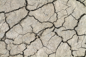 Cracked ground