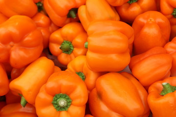 Orange peppers on display at the market