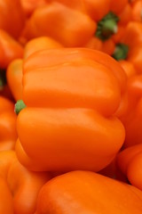 Orange peppers on display at the market