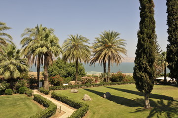 Garden on Mt. Beatitudes in Galilee.