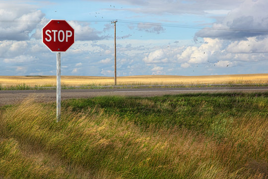 Rural stop sign on the prairies