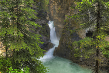 Fototapeta premium Johnston Canyon