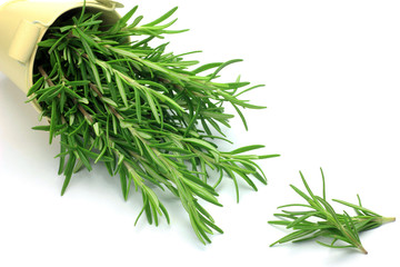 rosemary