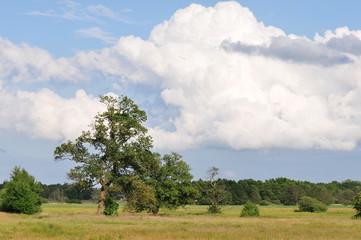 view at stream valley